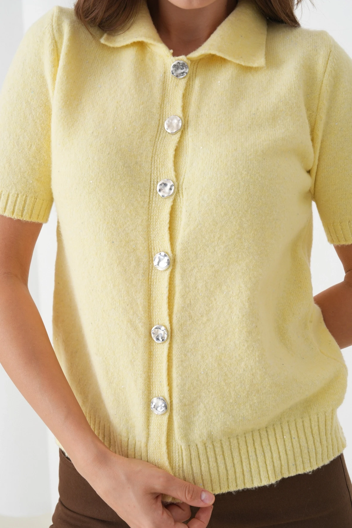 Kadın Polo Yaka Düğme Detay Kısa Kol Simli Triko Hırka