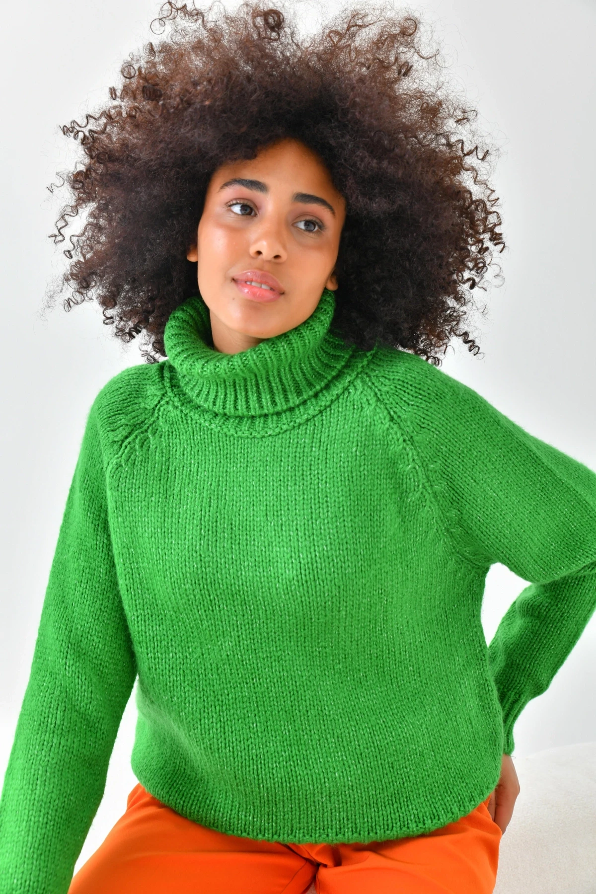 Kadın Balıkçı Yaka Kaşkorse Triko Kazak 223006