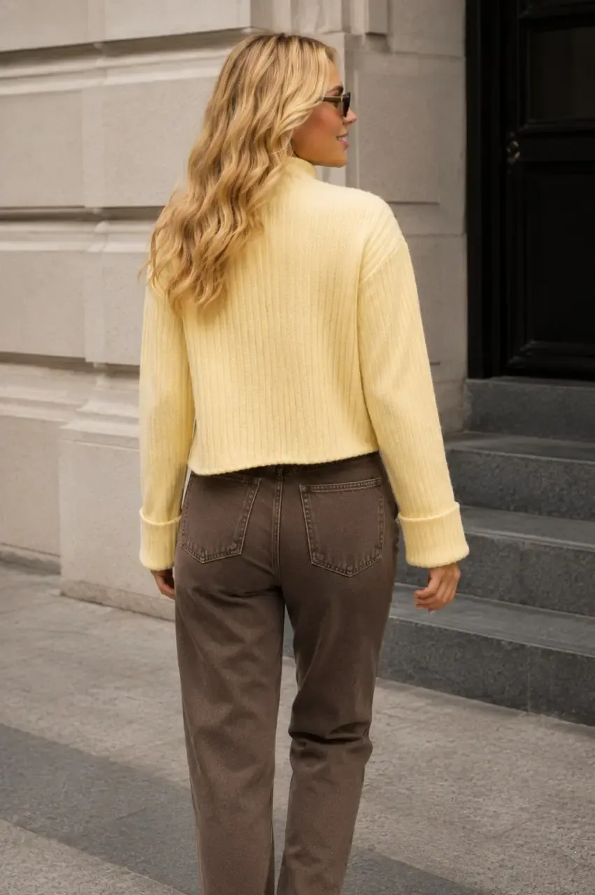 Basic Crop Yumuşak Dokulu Dik Yaka Triko Hırka AW25HI0004