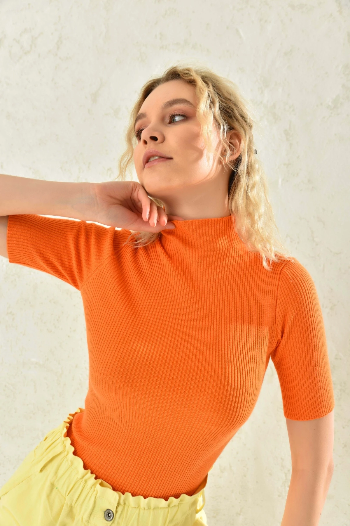 Kadın Yarım Balıkçı Kısa Kol Basic Triko Bluz