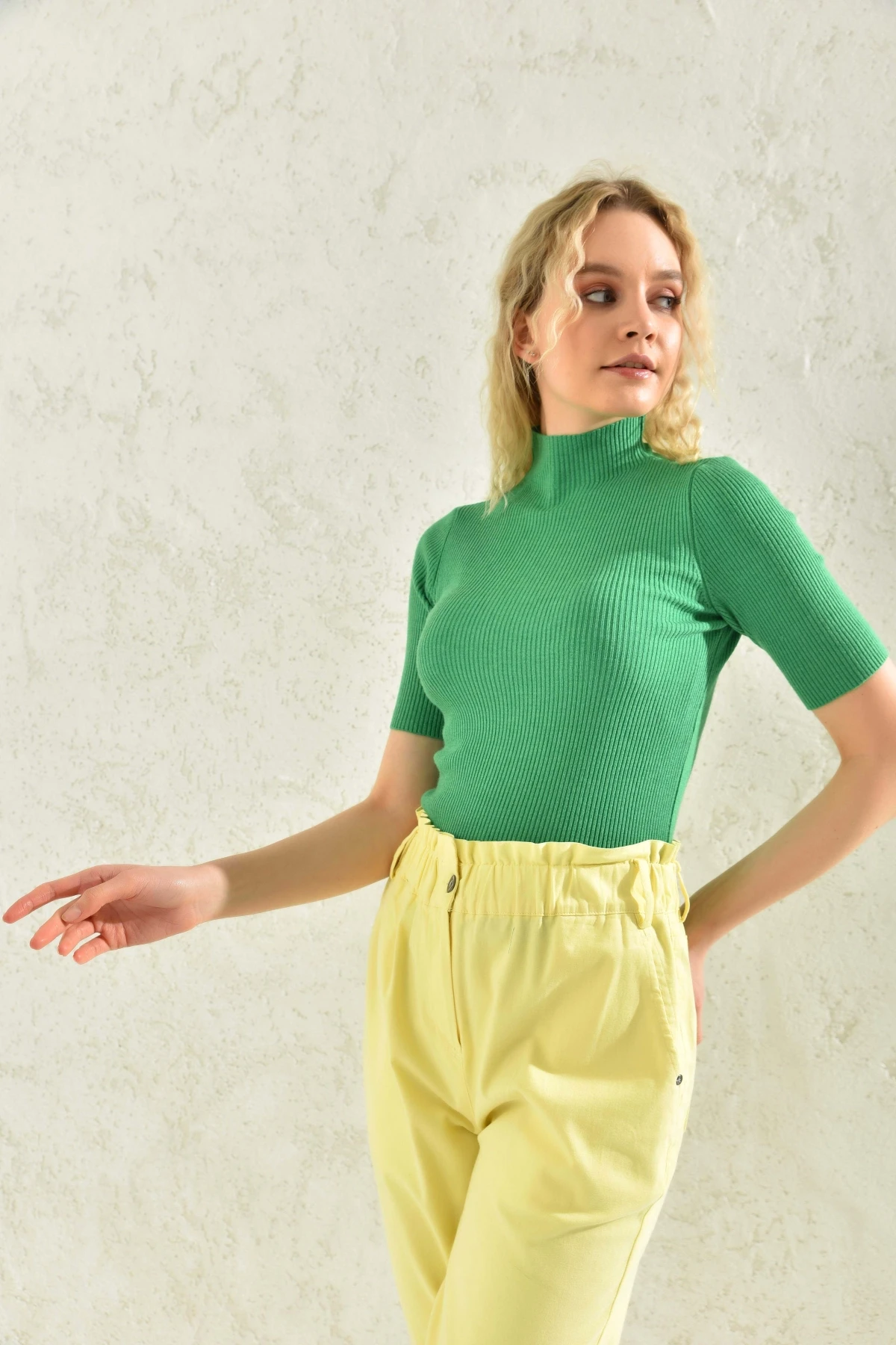 Kadın Yarım Balıkçı Kısa Kol Basic Triko Bluz