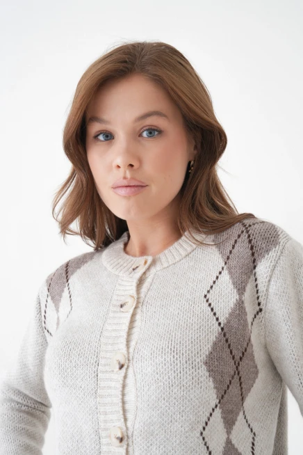 Kadın taş bisiklet yaka düğme detay desenli triko hırka 8605sw