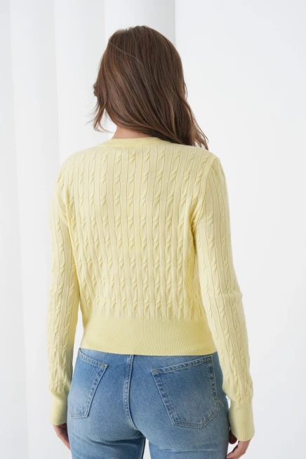 Kadın Bisiklet Yaka Düğme Detay Saç Örgü Yumuşak Dokulu Triko Hırka 