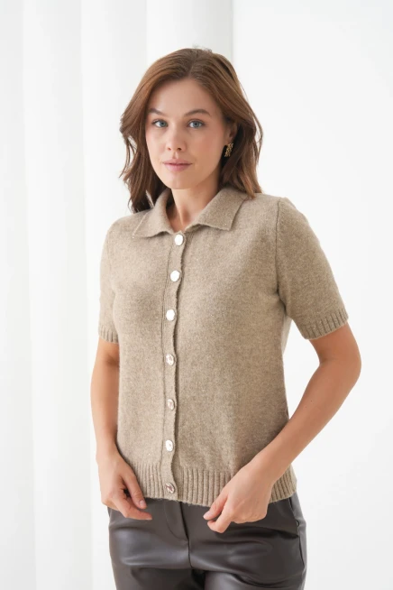 Kadın Polo Yaka Düğme Detay Kısa Kol Simli Triko Hırka