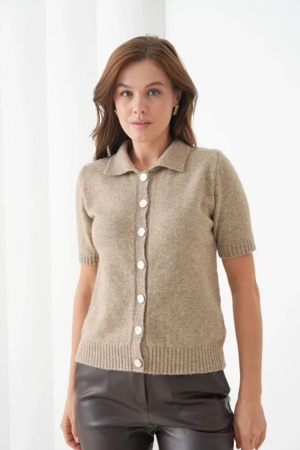 Kadın Polo Yaka Düğme Detay Kısa Kol Simli Triko Hırka