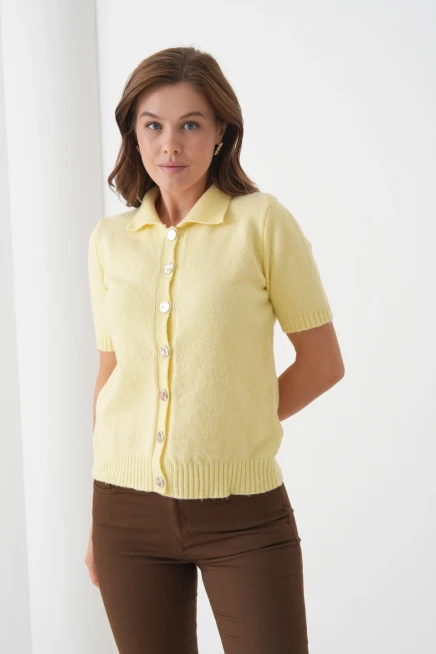 Kadın Polo Yaka Düğme Detay Kısa Kol Simli Triko Hırka