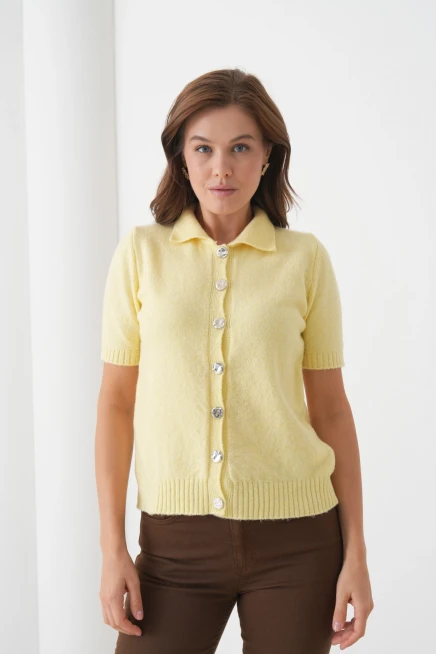 Kadın Polo Yaka Düğme Detay Kısa Kol Simli Triko Hırka