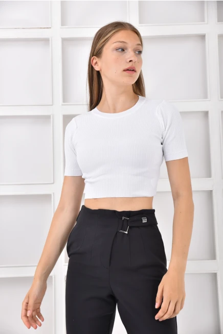 Womens Crew Neck Basic Crop Knitwear Blouse