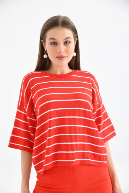 Bisiklet Yaka Çizgili Mevsimlik Kısa Triko Kazak